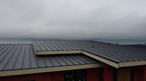 Best Roof Coating and Sealing  in Painesville, OH